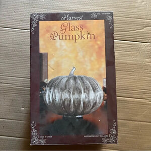 New Open Box Silver Mercury Glass Pumpkin Autumn Halloween Fall Seasonal Decor